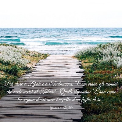 Picture 03 - Giudici 8:18 RIV - Poi disse a Zebah e a Tsalmunna: “Com’erano - Bible Verse Picture