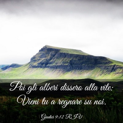 Picture 03 - Giudici 9:12 RIV - Poi gli alberi dissero alla vite: Vieni tu a - Bible Verse Picture