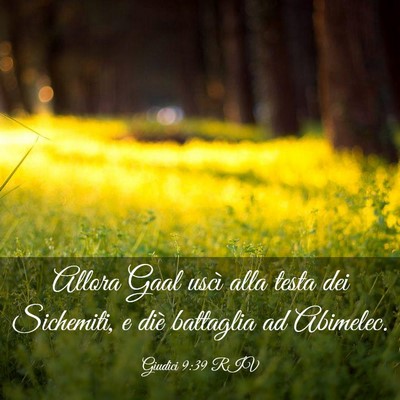Picture 03 - Giudici 9:39 RIV - Allora Gaal uscì alla testa dei Sichemiti, e - Bible Verse Picture
