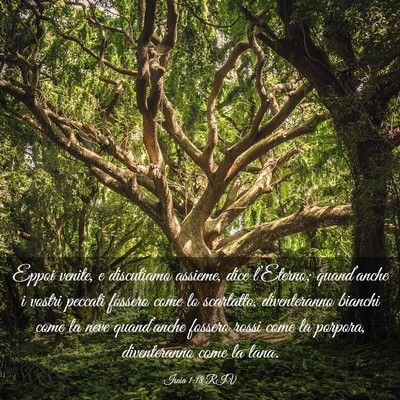 Picture 03 - Isaia 1:18 RIV - Eppoi venite, e discutiamo assieme, dice - Bible Verse Picture