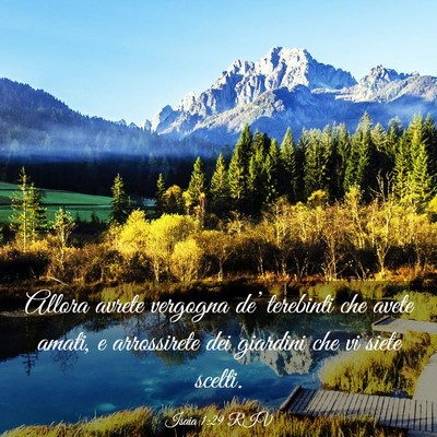 Picture 03 - Isaia 1:29 RIV - Allora avrete vergogna de’ terebinti che avete - Bible Verse Picture