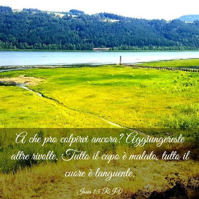 Picture 03 - Isaia 1:5 RIV - A che pro colpirvi ancora? Aggiungereste altre - Bible Verse Picture