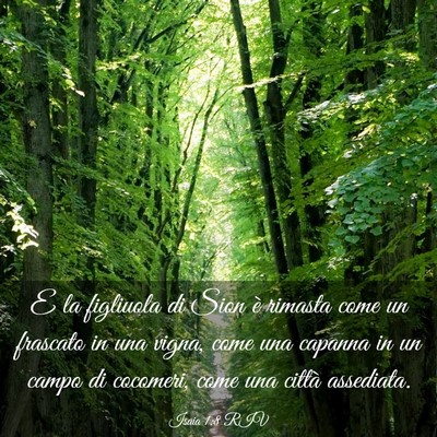 Picture 03 - Isaia 1:8 RIV - E la figliuola di Sion è rimasta come un - Bible Verse Picture