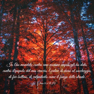 Picture 03 - Isaia 10:6 RIV - Io l’ho mandato contro una nazione empia, gli - Bible Verse Picture