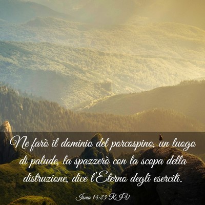 Picture 03 - Isaia 14:23 RIV - Ne farò il dominio del porcospino, un luogo di - Bible Verse Picture