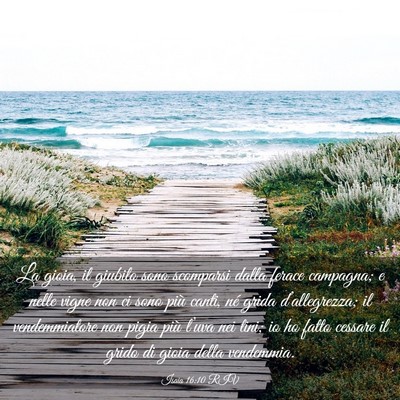 Picture 03 - Isaia 16:10 RIV - La gioia, il giubilo sono scomparsi dalla ferace - Bible Verse Picture