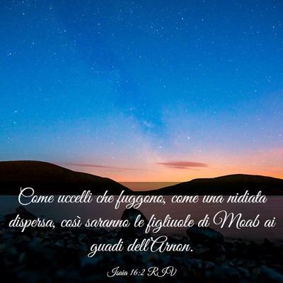 Picture 03 - Isaia 16:2 RIV - Come uccelli che fuggono, come una nidiata - Bible Verse Picture