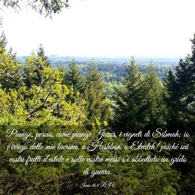 Picture 03 - Isaia 16:9 RIV - Piango, perciò, come piange Jazer, i vigneti di - Bible Verse Picture