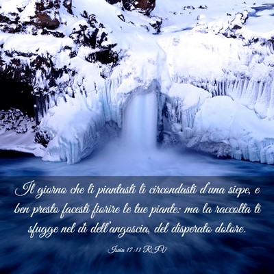 Picture 03 - Isaia 17:11 RIV - Il giorno che li piantasti li circondasti d’una - Bible Verse Picture