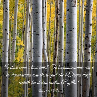 Picture 03 - Isaia 19:12 RIV - E dove sono i tuoi savi? Te lo annunziano essi e - Bible Verse Picture