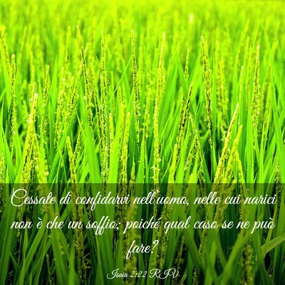 Picture 03 - Isaia 2:22 RIV - Cessate di confidarvi nell’uomo, nelle cui - Bible Verse Picture