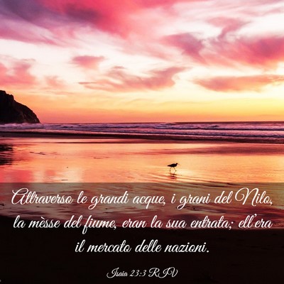 Picture 03 - Isaia 23:3 RIV - Attraverso le grandi acque, i grani del Nilo, la - Bible Verse Picture