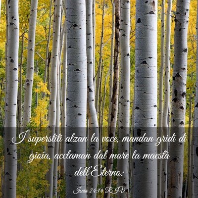 Picture 03 - Isaia 24:14 RIV - I superstiti alzan la voce, mandan gridi di - Bible Verse Picture