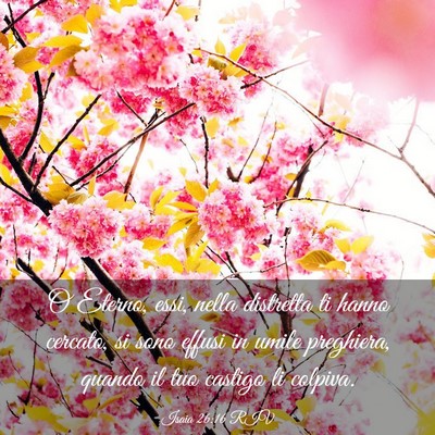 Picture 03 - Isaia 26:16 RIV - O Eterno, essi, nella distretta ti hanno cercato, - Bible Verse Picture