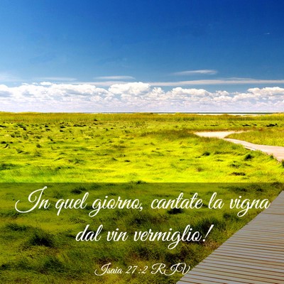Picture 03 - Isaia 27:2 RIV - In quel giorno, cantate la vigna dal vin - Bible Verse Picture