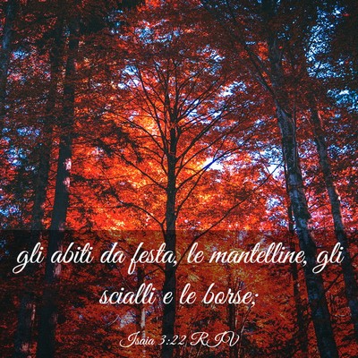 Picture 03 - Isaia 3:22 RIV - gli abiti da festa, le mantelline, gli scialli e - Bible Verse Picture