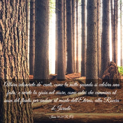 Picture 03 - Isaia 30:29 RIV - Allora intonerete de’ canti, come la notte - Bible Verse Picture