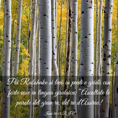 Picture 03 - Isaia 36:13 RIV - Poi Rabshake si levò in piedi e gridò con forte - Bible Verse Picture