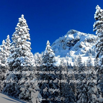 Picture 03 - Isaia 36:17 RIV - finch’io venga a menarvi in un paese simile al - Bible Verse Picture