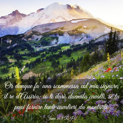 Picture 03 - Isaia 36:8 RIV - Or dunque fa’ una scommessa col mio signore, il - Bible Verse Picture