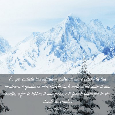 Picture 03 - Isaia 37:29 RIV - E per codesto tuo infuriare contro di me, e - Bible Verse Picture