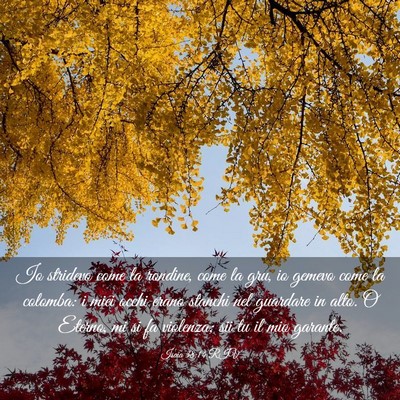 Picture 03 - Isaia 38:14 RIV - Io stridevo come la rondine, come la gru, io - Bible Verse Picture