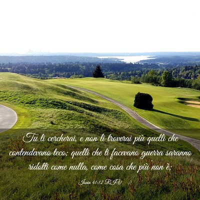 Picture 03 - Isaia 41:12 RIV - Tu li cercherai, e non li troverai più quelli - Bible Verse Picture