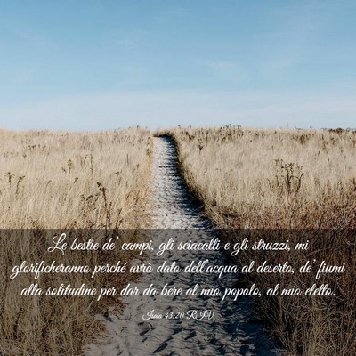 Picture 03 - Isaia 43:20 RIV - Le bestie de’ campi, gli sciacalli e gli - Bible Verse Picture