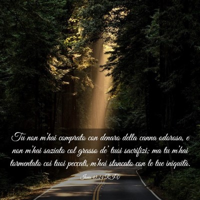Picture 03 - Isaia 43:24 RIV - Tu non m’hai comprato con denaro della canna - Bible Verse Picture