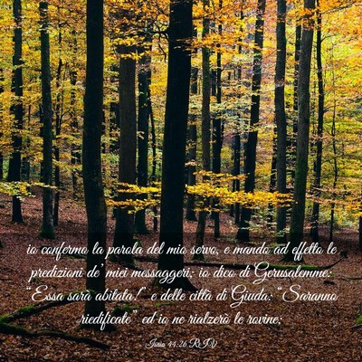 Picture 03 - Isaia 44:26 RIV - io confermo la parola del mio servo, e mando ad - Bible Verse Picture