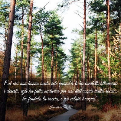 Picture 03 - Isaia 48:21 RIV - Ed essi non hanno avuto sete quand’ei li ha - Bible Verse Picture