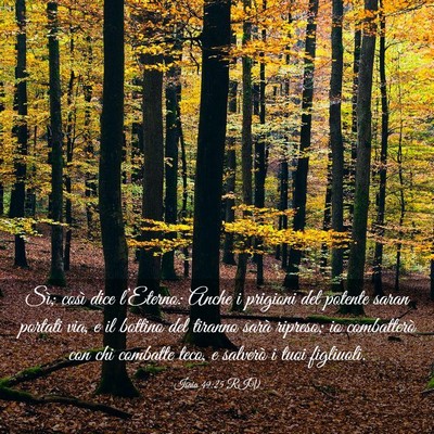 Picture 03 - Isaia 49:25 RIV - Sì; così dice l’Eterno: Anche i prigioni del - Bible Verse Picture