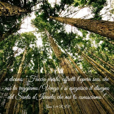 Picture 03 - Isaia 5:19 RIV - e dicono: “Faccia presto, affretti l’opera - Bible Verse Picture