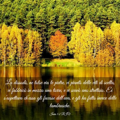 Picture 03 - Isaia 5:2 RIV - La dissodò, ne tolse via le pietre, vi piantò - Bible Verse Picture