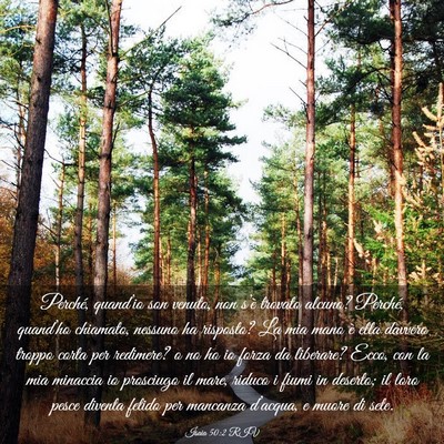 Picture 03 - Isaia 50:2 RIV - Perché, quand’io son venuto, non s’è - Bible Verse Picture