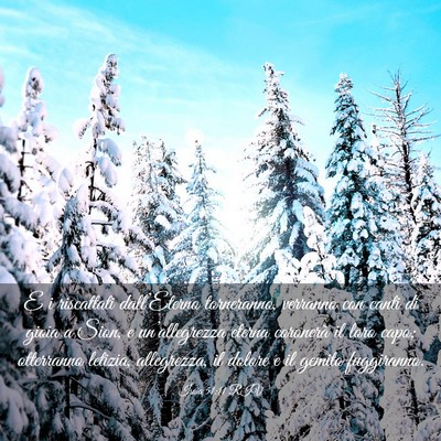 Picture 03 - Isaia 51:11 RIV - E i riscattati dall’Eterno torneranno, verranno - Bible Verse Picture