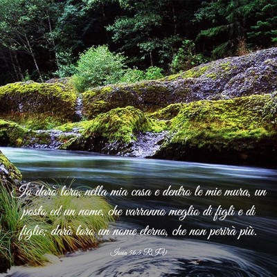 Picture 03 - Isaia 56:5 RIV - Io darò loro, nella mia casa e dentro le mie - Bible Verse Picture