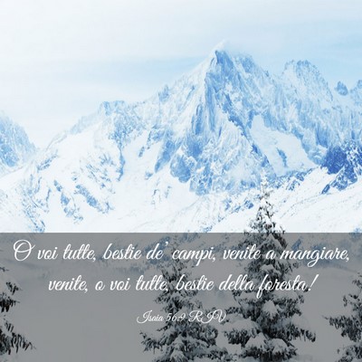 Picture 03 - Isaia 56:9 RIV - O voi tutte, bestie de’ campi, venite a - Bible Verse Picture