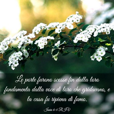 Picture 03 - Isaia 6:4 RIV - Le porte furono scosse fin dalla loro fondamenta - Bible Verse Picture