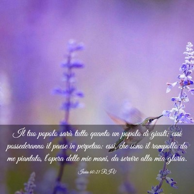 Picture 03 - Isaia 60:21 RIV - Il tuo popolo sarà tutto quanto un popolo di - Bible Verse Picture