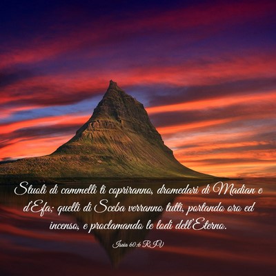 Picture 03 - Isaia 60:6 RIV - Stuoli di cammelli ti copriranno, dromedari di - Bible Verse Picture