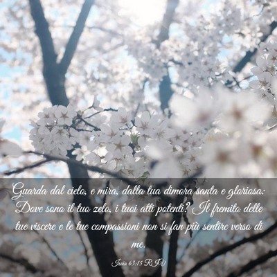 Picture 03 - Isaia 63:15 RIV - Guarda dal cielo, e mira, dalla tua dimora santa - Bible Verse Picture