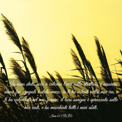 Picture 03 - Isaia 63:3 RIV - “Io sono stato solo a calcara l’uva nello - Bible Verse Picture