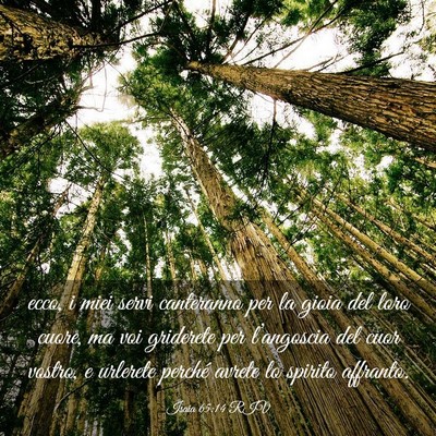 Picture 03 - Isaia 65:14 RIV - ecco, i miei servi canteranno per la gioia del - Bible Verse Picture