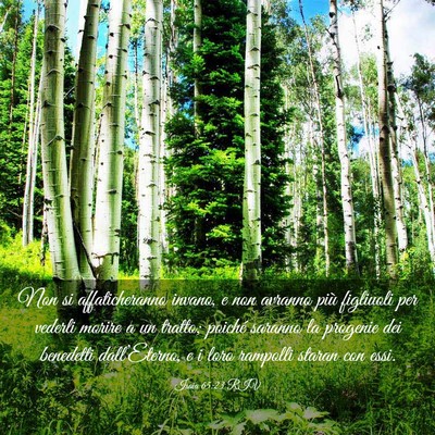 Picture 03 - Isaia 65:23 RIV - Non si affaticheranno invano, e non avranno più - Bible Verse Picture