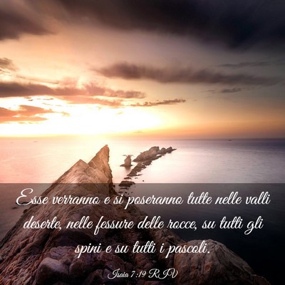 Picture 03 - Isaia 7:19 RIV - Esse verranno e si poseranno tutte nelle valli - Bible Verse Picture