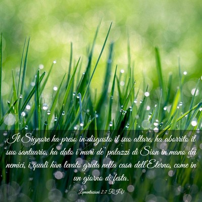 Picture 03 - Lamentazioni 2:7 RIV - Il Signore ha preso in disgusto il suo altare, ha - Bible Verse Picture