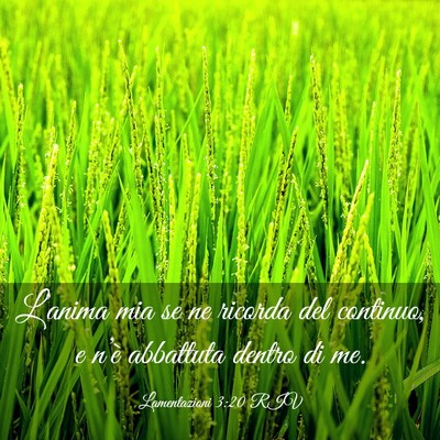 Picture 03 - Lamentazioni 3:20 RIV - L’anima mia se ne ricorda del continuo, e - Bible Verse Picture