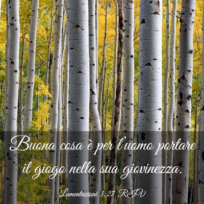 Picture 03 - Lamentazioni 3:27 RIV - Buona cosa è per l’uomo portare il giogo nella - Bible Verse Picture