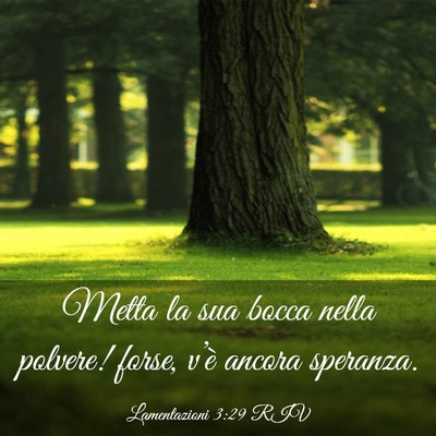 Picture 03 - Lamentazioni 3:29 RIV - Metta la sua bocca nella polvere! forse, v’è - Bible Verse Picture